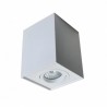 Lampa Zuma SPOT QUADRO biała