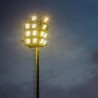 Projektor LED V-TAC 30W Czarny EVOLUTION 160lm/W VT-4931 6400K 4800lm