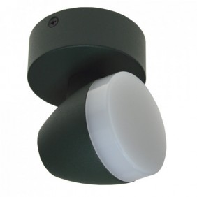 Oprawa elewacyjna LED Surmur 1*6w  okrągły 4000K RAL6005