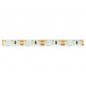 LED line Taśma 600 SMD2835 12V 6500K IP65