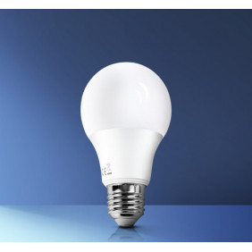 Żarówka LED E27 8W 3000K z czujnikiem ruchu i zmierzchu