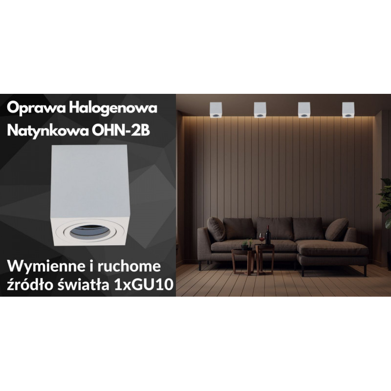 Oprawa Halogenowa Natynkowa OHN-2B