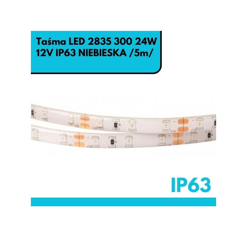 Taśma LED 2835 300 24W 12V IP63 NIEBIESKA /5m