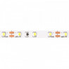 Taśma LED 2835 300 24W 12V IP20 6500K 200lm/m /5m/ 1 PCB