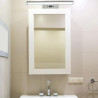 Oprawa V-TAC 9W LED nad Lustro Obraz Chrom 45cm VT-7009CH 3000K 380lm 3 Lata Gwarancji