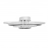 Lampa sufitowa K-8105 z serii CORINA