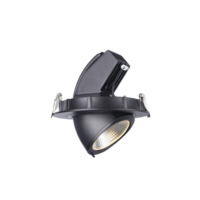 Oprawa LED NEXPULLOUT NP2 40W 24° 3000K CZARNA