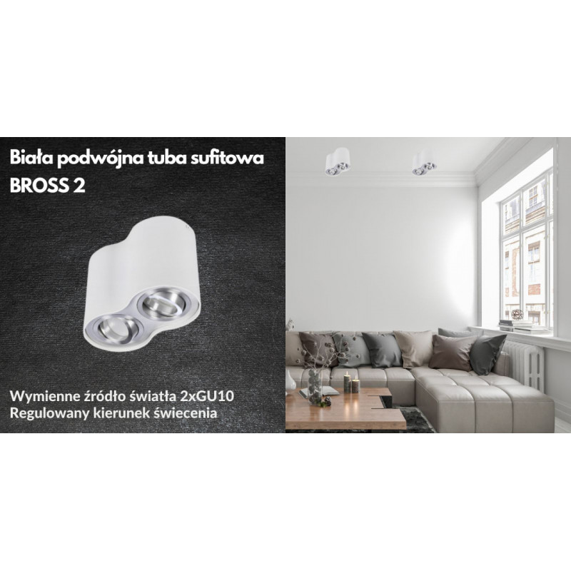 Oprawa sufitowa podwójna BROSS 2 biała