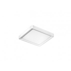TAPPO WHITE