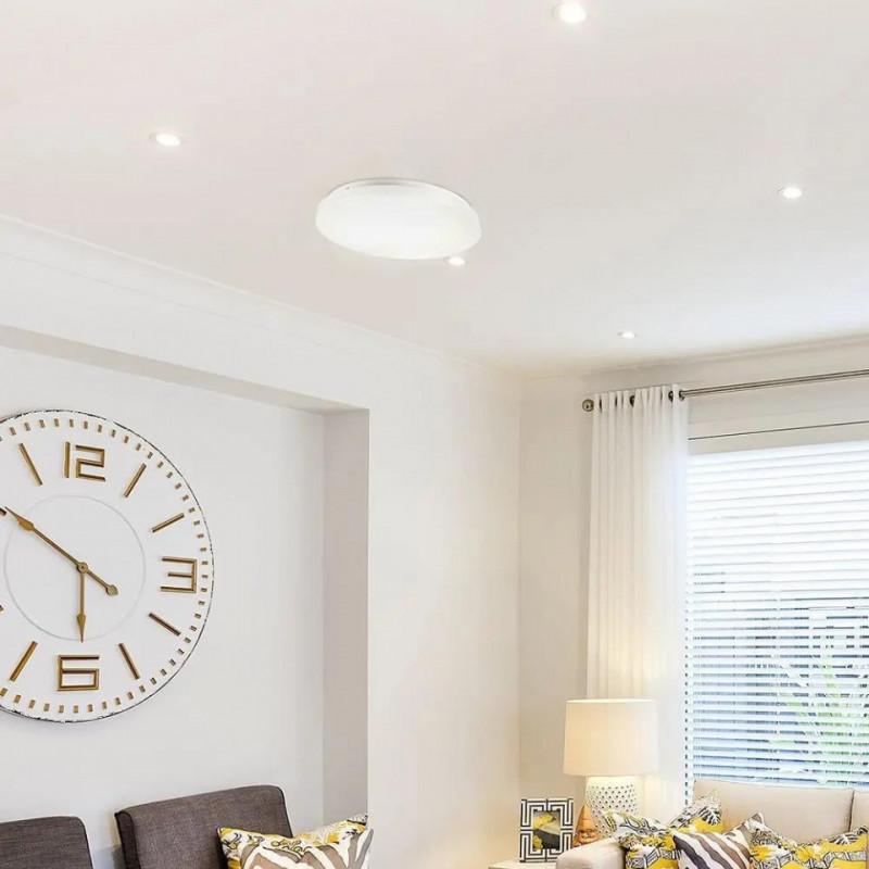 24W LED DOME LIGHT-350MM WITH MILKY COVER CCT:3IN1-ROUND