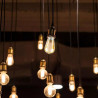 Żarówka LED 5W E27 Filament Złoty ST64 VT-2066 2200K 300lm V-TAC