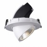 Oprawa LED NEXPULLOUT NP2 40W 24° 3000K BIAŁA