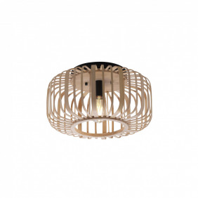 11412-79 RACOON LAMPA SUFITOWA