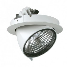 Oprawa LED NEXPULLOUT NP1 35W 35° 3000K BIAŁA