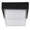 12W LED WALL LIGHT 4000K,BLACK -SQUARE