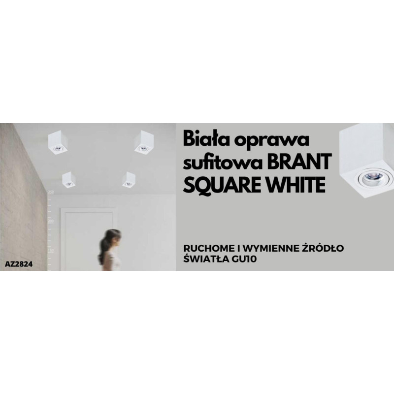 Biała oprawa sufitowa BRANT SQUARE WHITE AZ2824