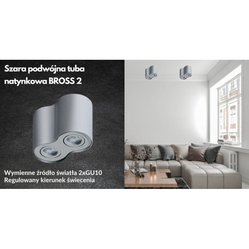 Szara podwójna tuba natynkowa BROSS 2
