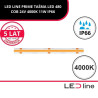 LED LINE PRIME TAŚMA LED 480 COB 24V 4000K 11W IP66 479822