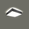 Plafon Horus 25 Szary