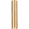 Genesis Spot Gold 1Xgu10 20Cm