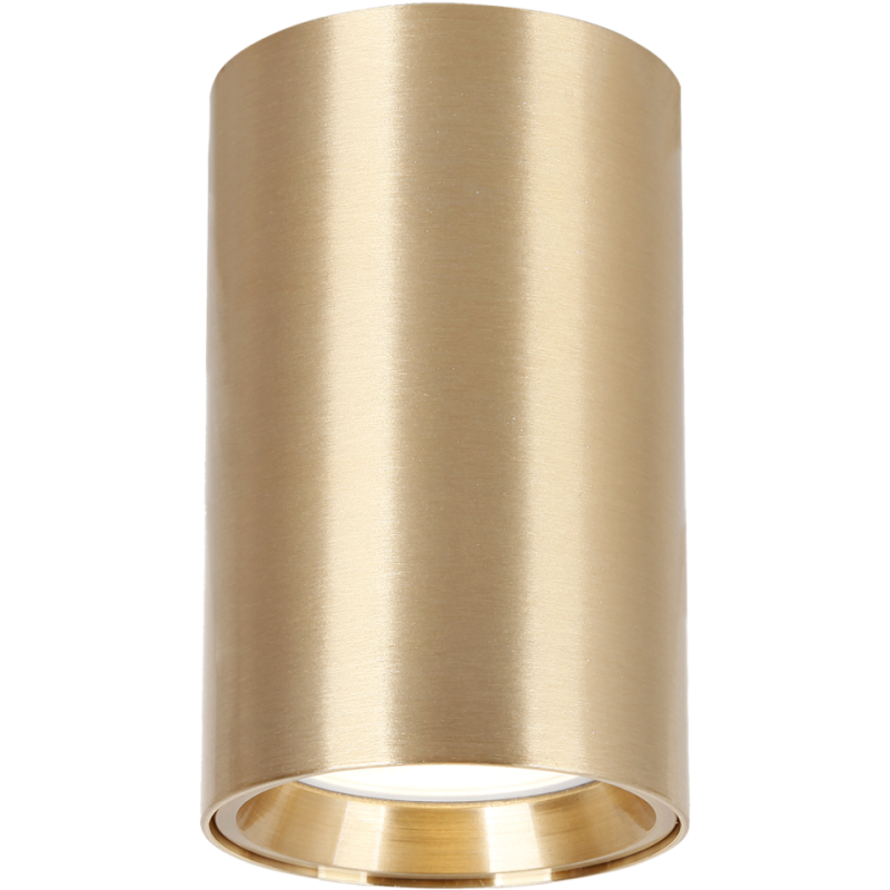 Genesis Spot Gold 1Xgu10 10Cm