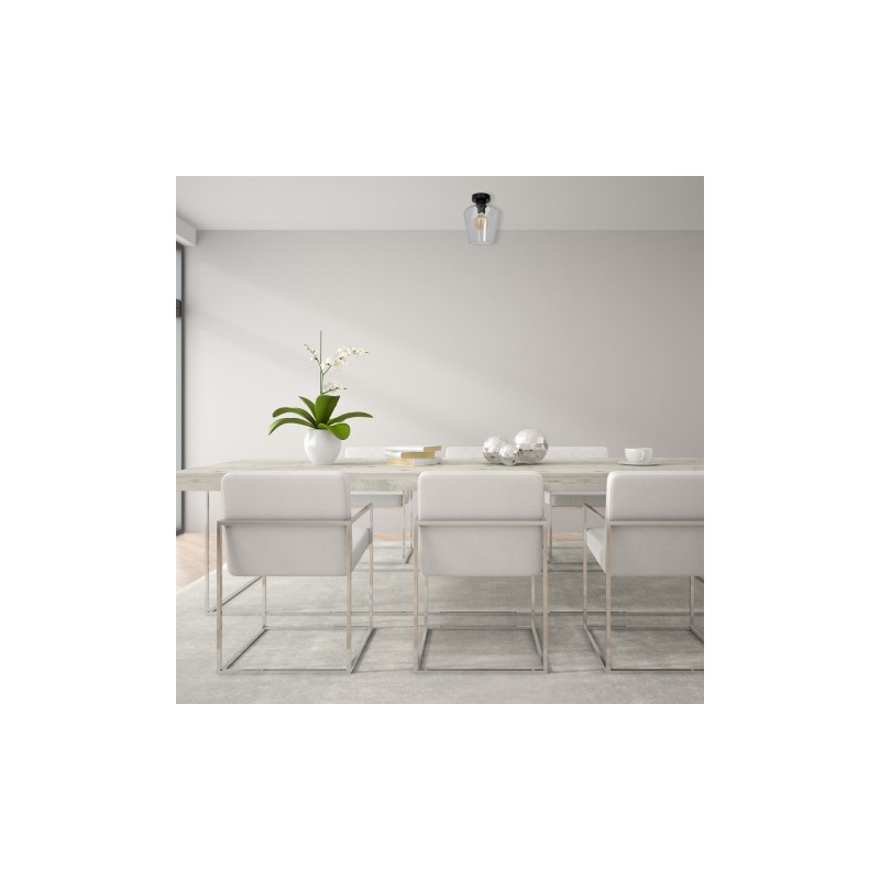 Lampa sufitowa SANTIAGO CLEAR 1xE27