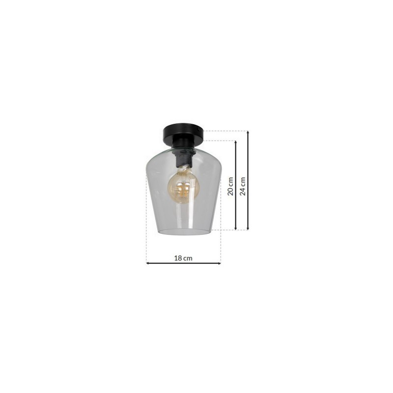 Lampa sufitowa SANTIAGO CLEAR 1xE27