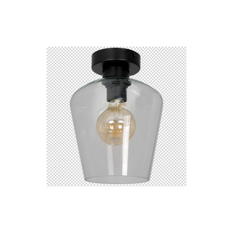 Lampa sufitowa SANTIAGO CLEAR 1xE27