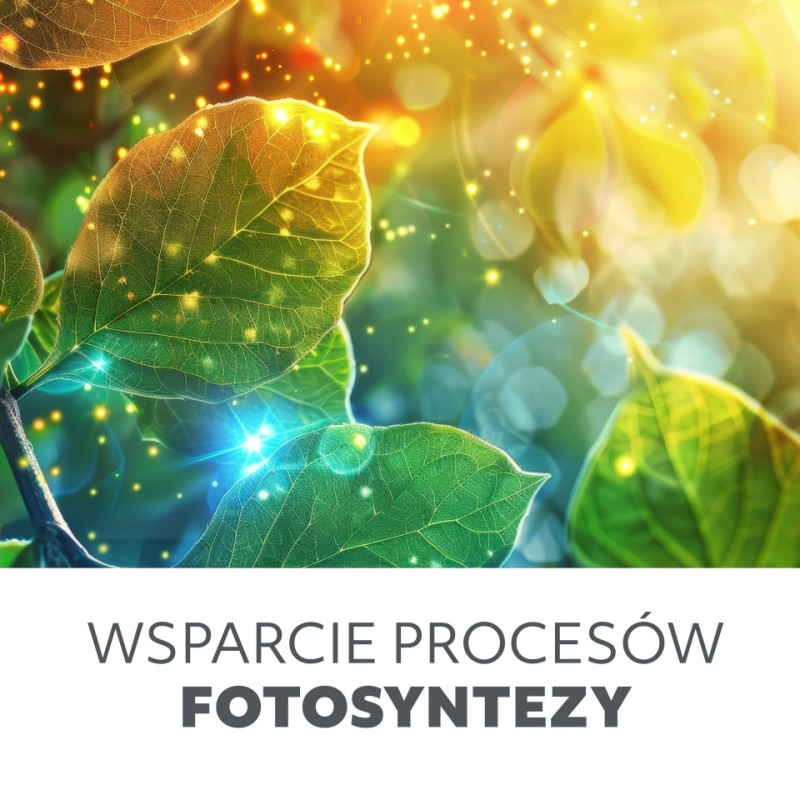 Żarówka Do Roślin Led Planty 24W E27