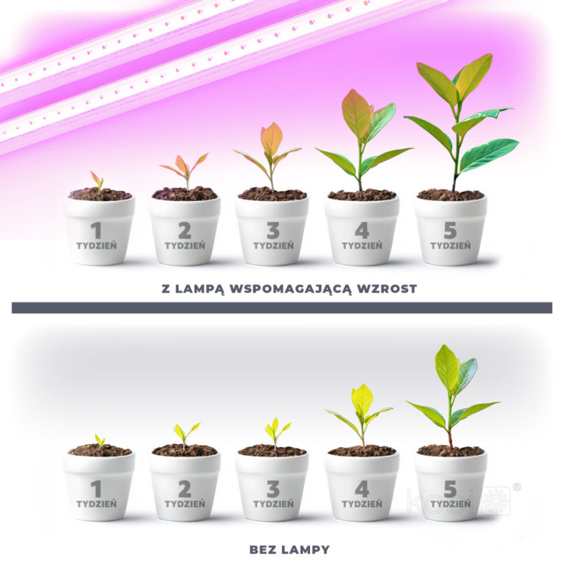 Lampa Do Roślin Led Growly 2X8,5W Kobi Design