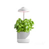 Lampa do Roślin Led Verdi 5W WBIJANA W ZIEMIĘ W DONICZCE KOBI KOD 001457