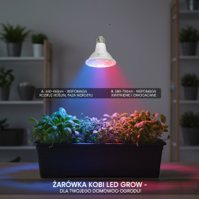 żarówka do wzrostu roślin  Led Planty 9W E27 Biała