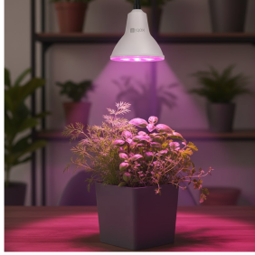 Żarówki do uprawy roślin Led Planty W 7W E27 1200K Biała Kobi Design