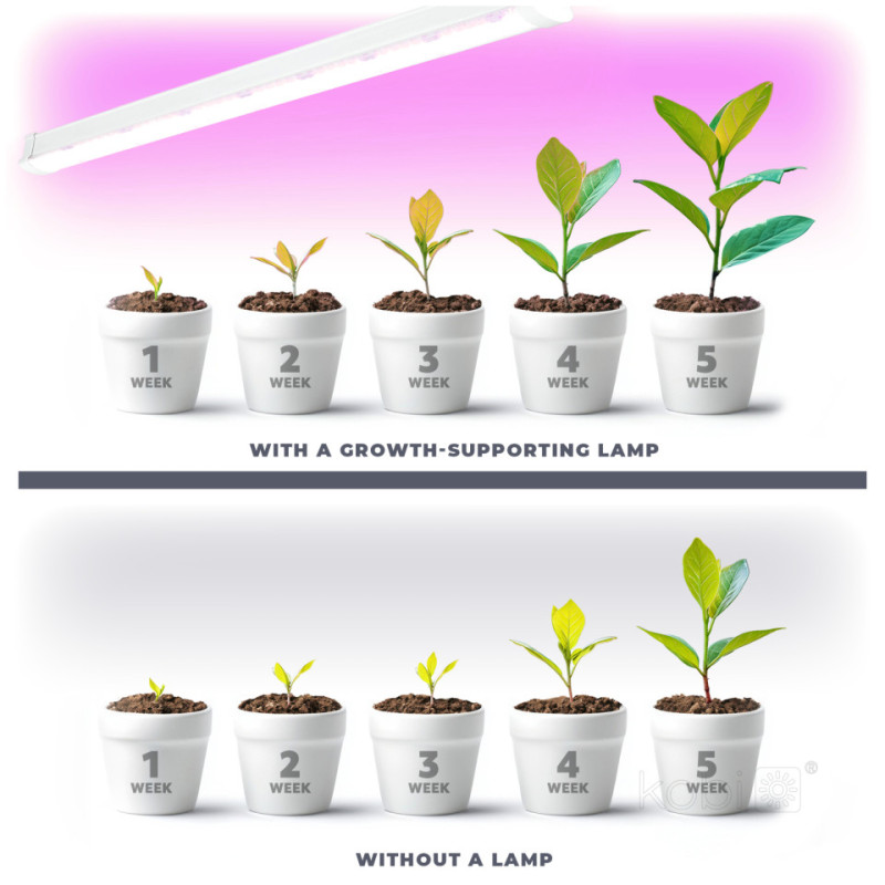 Lampa Do Roślin Led Growly 9W Kobi Design
