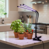 Lampa do hodowli Roślin Led Vitaro 3 Clip 10W Kobi Design 001513
