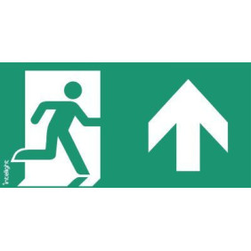 Piktogram Wyjście W Górę Prawo - E10 (300X150Mm) / Logo / 85110