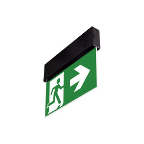 Oprawa Ewakuacyjna Directo Cb [Blk] + (E2, E3) / 89580