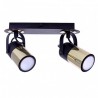 Punktowy reflektor sufitowy WILSON BLACK 2xGU10