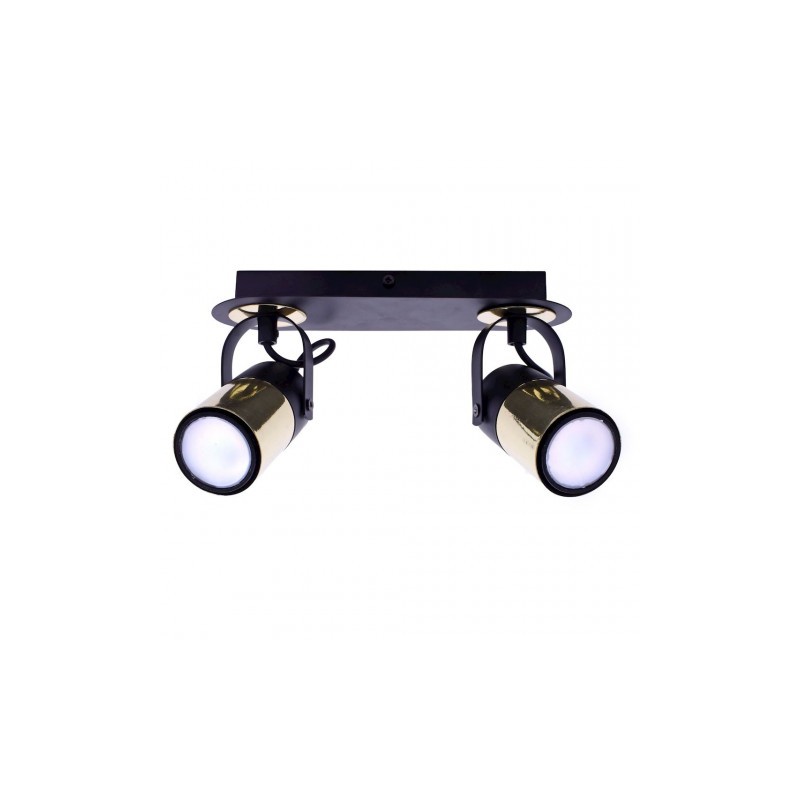 Punktowy reflektor sufitowy WILSON BLACK 2xGU10