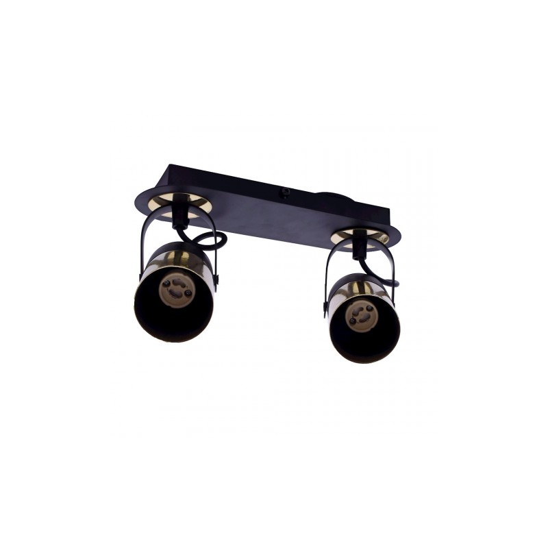 Punktowy reflektor sufitowy WILSON BLACK 2xGU10