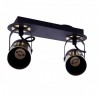 Punktowy reflektor sufitowy WILSON BLACK 2xGU10
