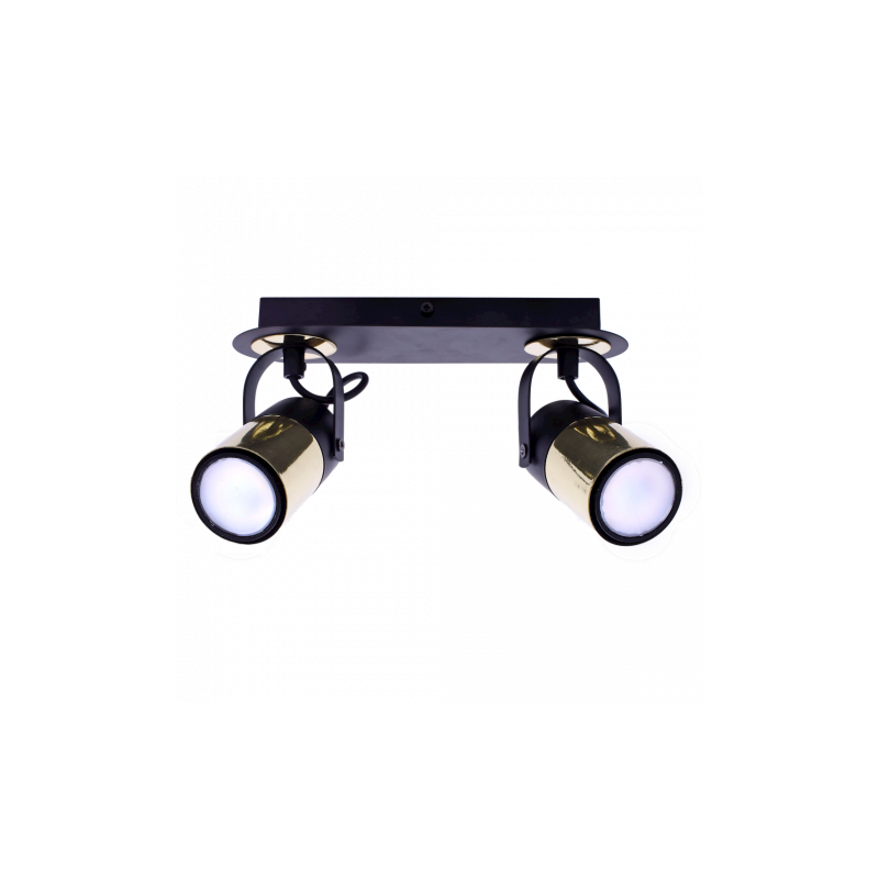 Punktowy reflektor sufitowy WILSON BLACK 2xGU10