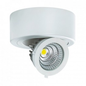 Nowoczesna biała oprawa sufitowa IGOR LED C 9W 4000K