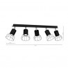 Lampa Sufitowa DANTE BLACK/SILVER 5xGU10