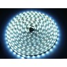 Taśma LED line 300 SMD 5630 SAMSUNG 10000 - 13000K biała zimna 5m