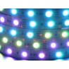 Taśma LED line 300 SMD5050 12V RGB DIGiTAL IC P943
