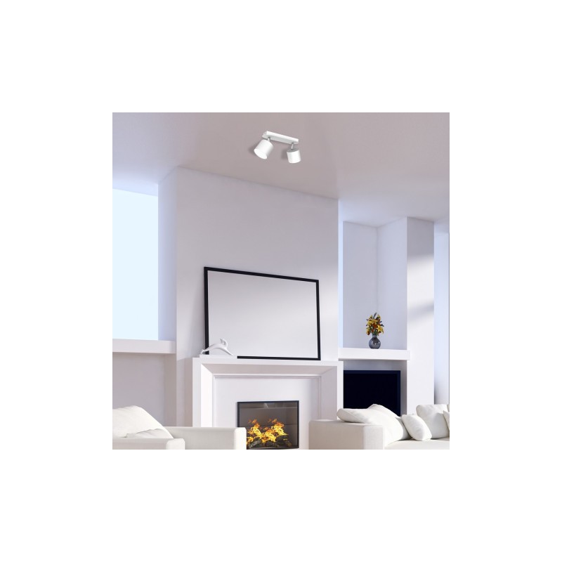 Lampa sufitowa DIXIE WHITE 2xGX53