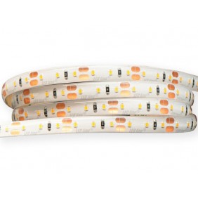 Taśma LED line 600 SMD2216 12V biała ciepła 2700-2868K w powłoce silikonowej IP65