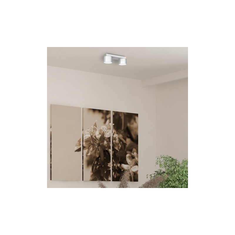 Lampa sufitowa DIXIE White  2xGX53