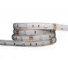 Taśma LED line 150 SMD5060 12V RGB w powłoce silikonowej IP65